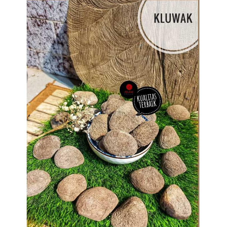 

KELUWEK isi Kluwak (kluwek) Kualitas Terbaik 1Kg