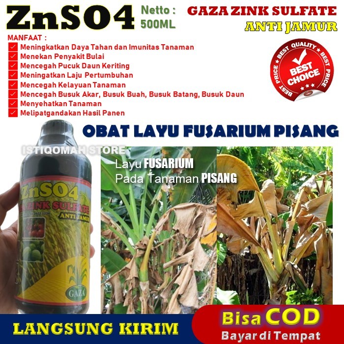 Pupuk Cair Obat Semprot Layu Fusarium Pada Tanaman Pisang yang Bagus dan Ampuh ZNSO4 GAZA 500ML
