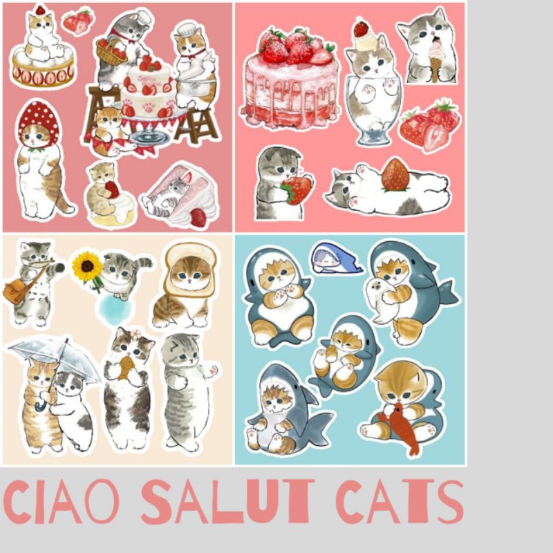 

ciao salut cats stickers / cute cat stickers aesthetic, imut lucu, trendy, gemoy, strawberry, hiu, random, daily life, murah meriah berkualitas, transparan & tahan air.