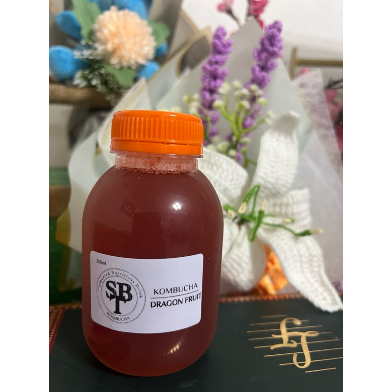 

KOMBUCHA DRAGON FRUIT 250ml