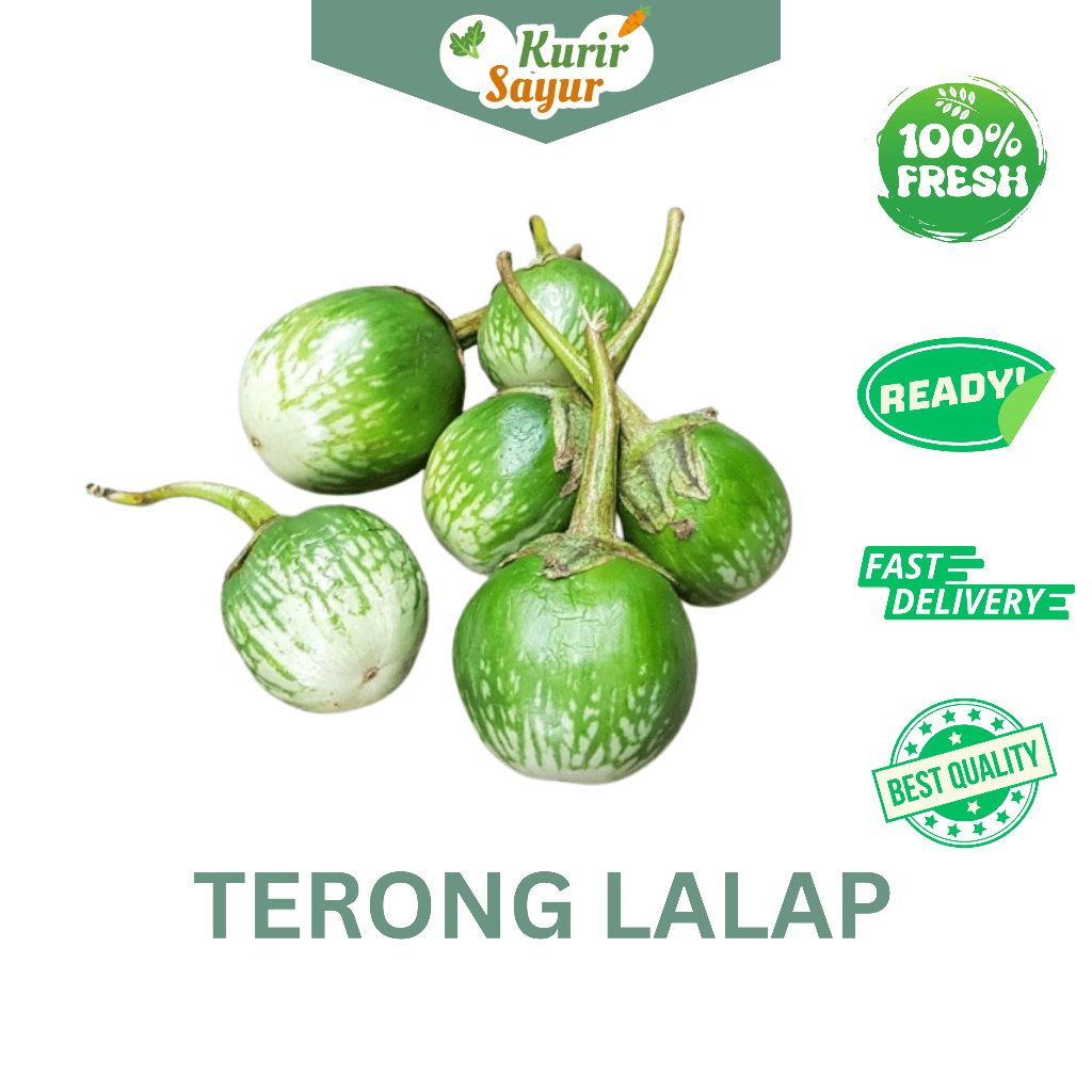

KURIR SAYUR - TERONG LALAP TERONG BULAT 500GR