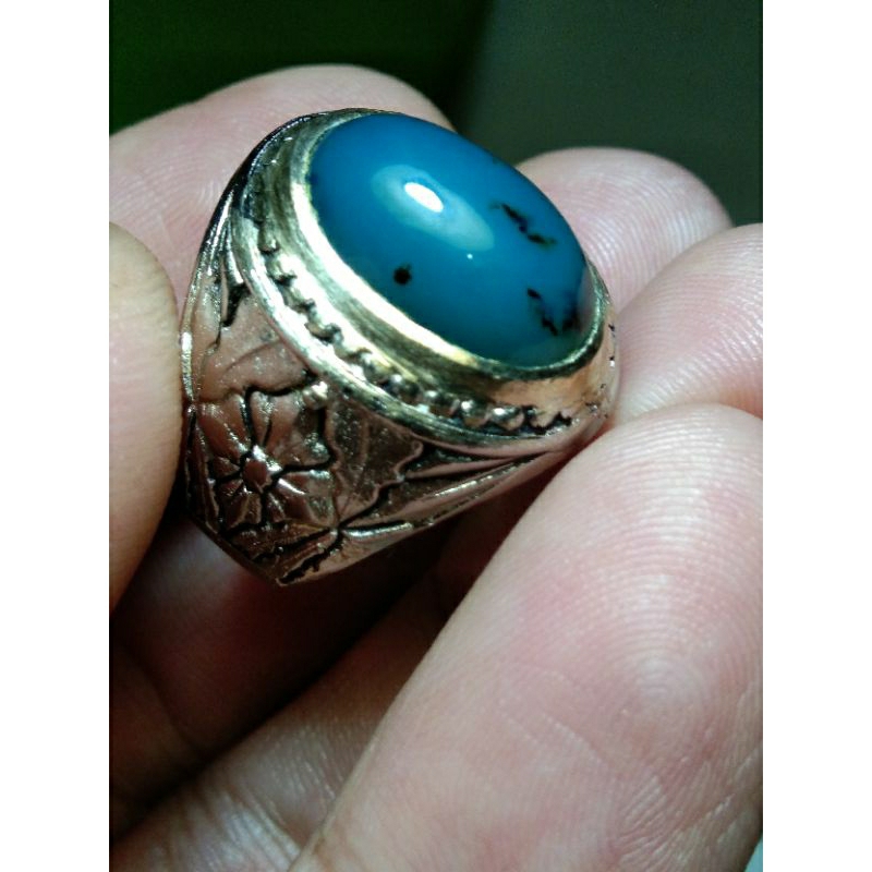 bacan doko totol coklat