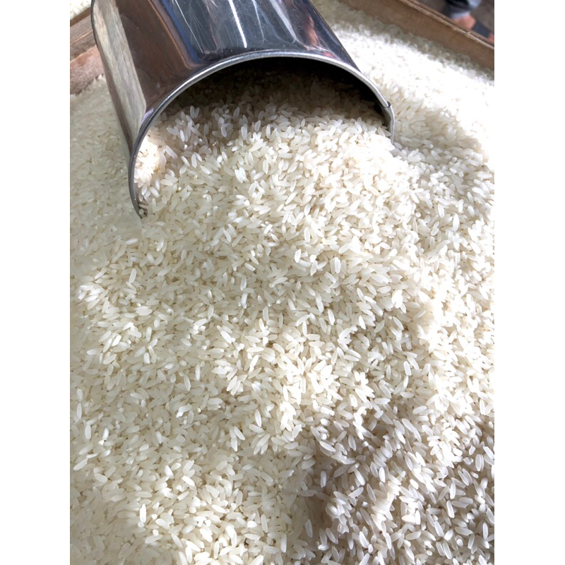 

BERAS PREMIUM, BERAS BANJAR SIYAM KUPANG