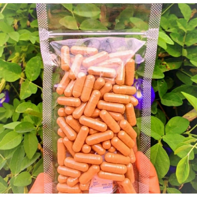 

JAMU HERBAL PURWOCENG ISI 100 KAPSUL