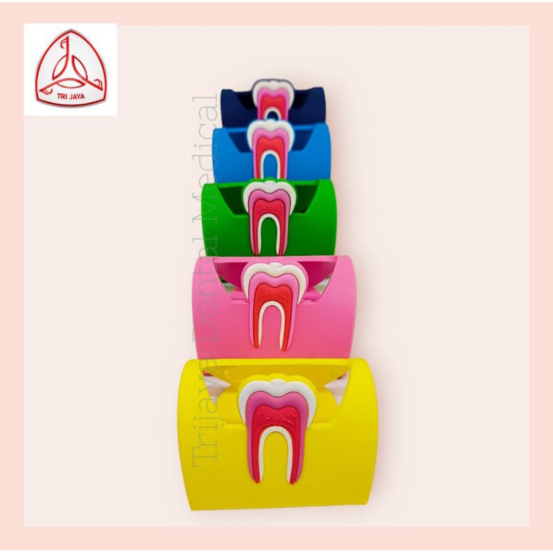 

Tempat kartu nama dokter gigi