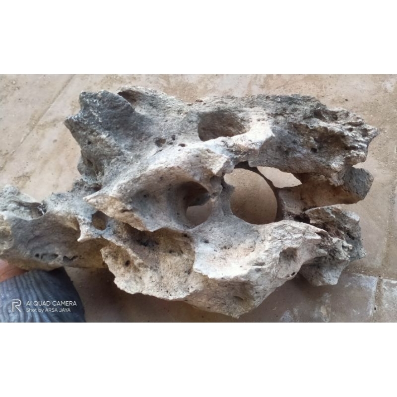 batu karang bolong 20cm, batu karang gunung, batu gunung,batu hias, batu taman,batu aquarium,batu aq