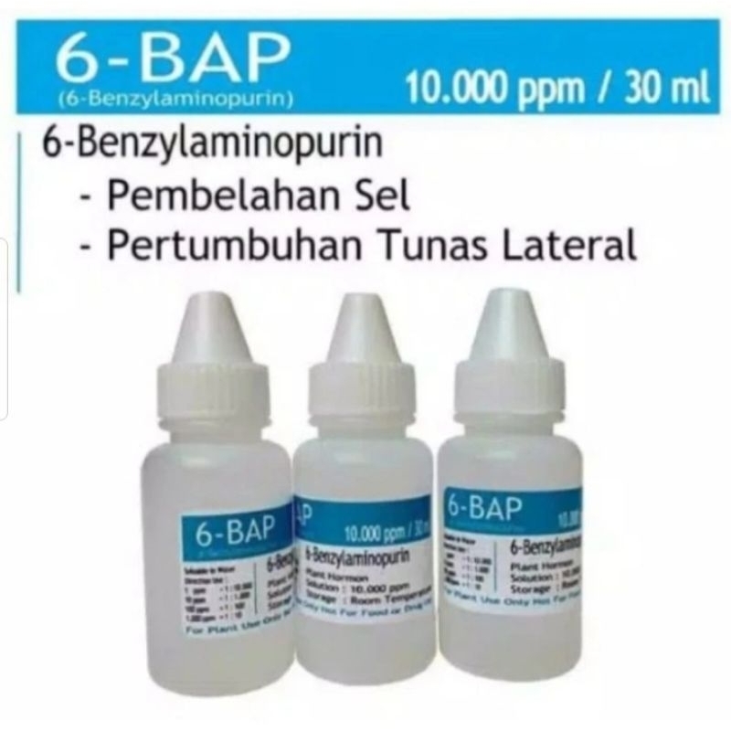 hormon 6 BAP biru benzylaminopurine 30ml