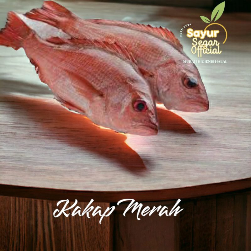 

Ikan Kakap Merah 1kg - KIRIM INSTAN