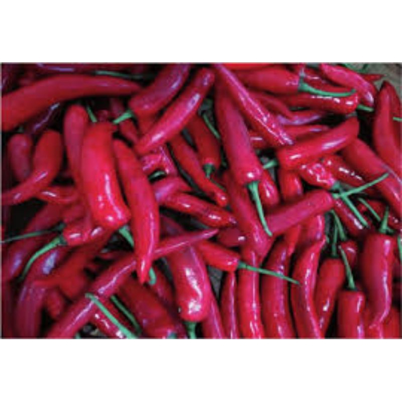 

cabe merah besar/250gram