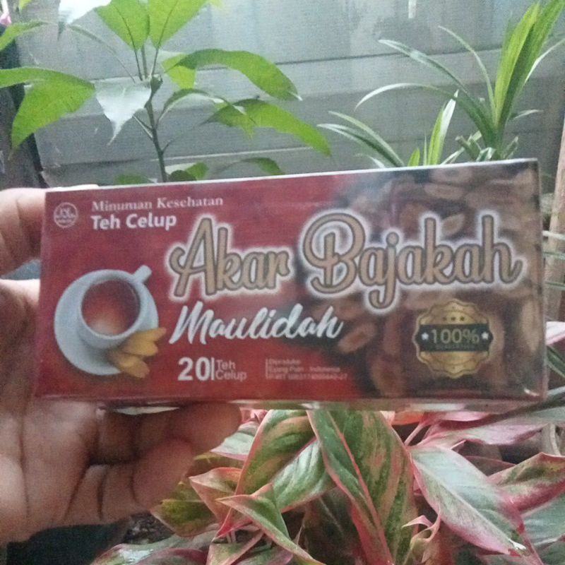 

Teh Celup Akar Bajakah/Teh Herbal Akar Bajakah Isi 20 Pcs