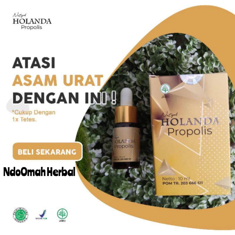 Holanda Propolis Original