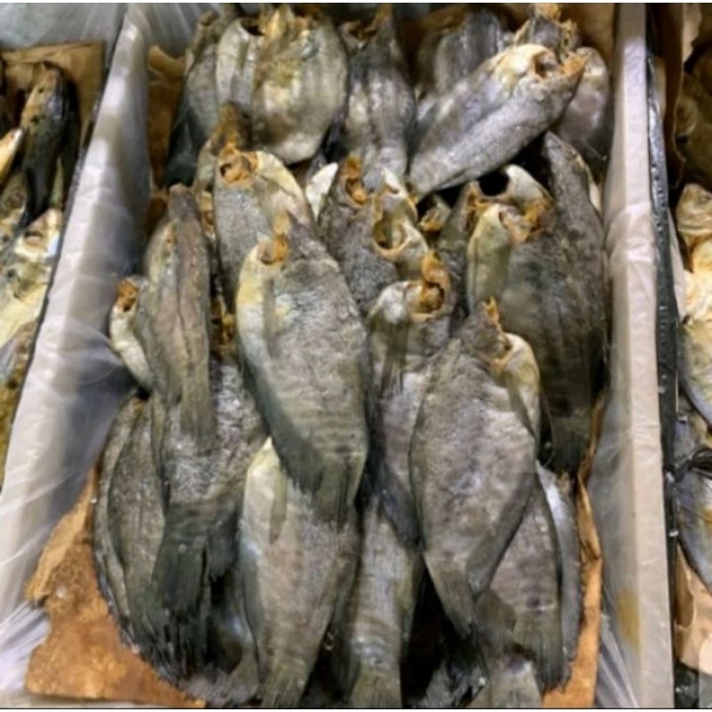

IKAN ASIN SEPAT 500GR IKAN ASIN ENAK IKAN ASIN PALEMBANG