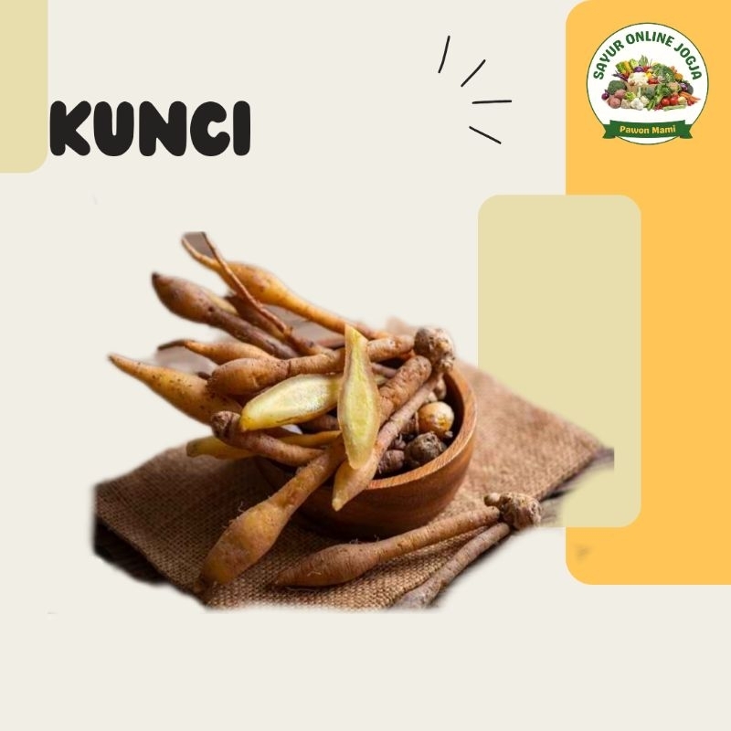 

Kunci temu kunci 50Gr - PAWON MAMI SAYUR ONLINE JOGJA