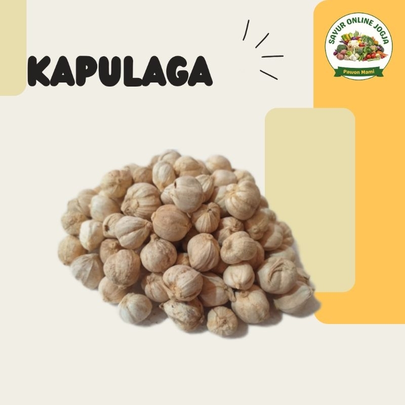 

KAPULAGA 5Gr - PAWON MAMI SAYUR ONLINE JOGJA