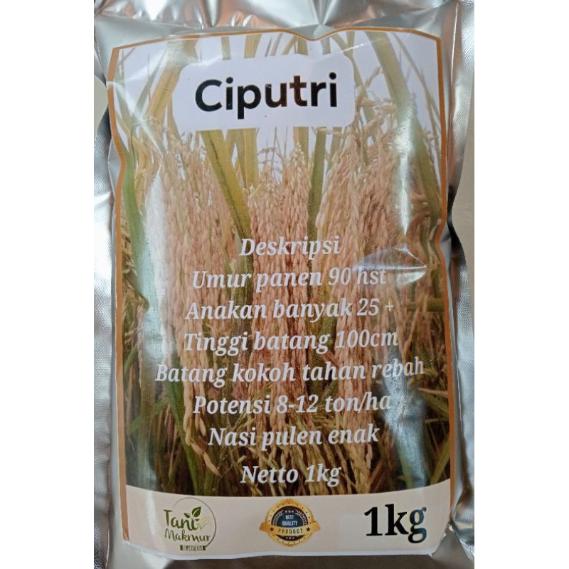 BENIH PADI CIPUTRI Ciherang Malai Panjang original kemasan 1 kg