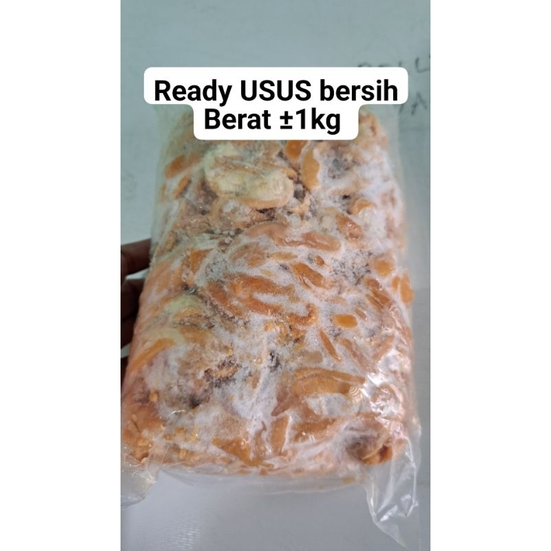 

usus ayam bersih