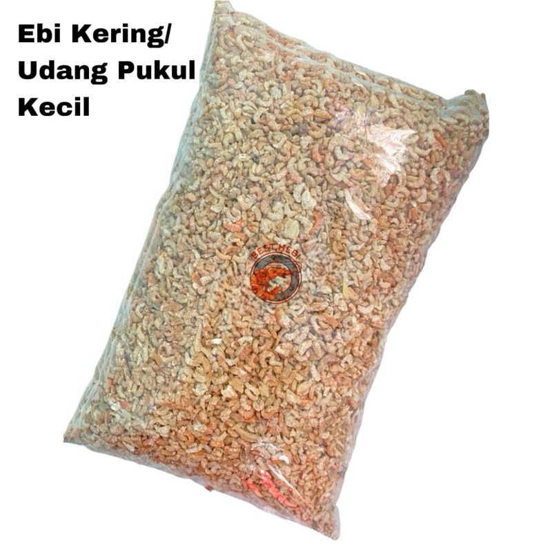 

Best Hebi Udang Kering Kecil 1kg Bagansiapiapi / Ebi Bagan / Hebi Bagan