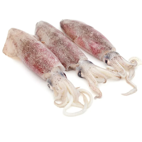 

Tosa SS_Sotong Kecil - 250gr