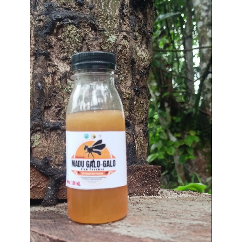 

madu kelanceng/trigona/galo-galo