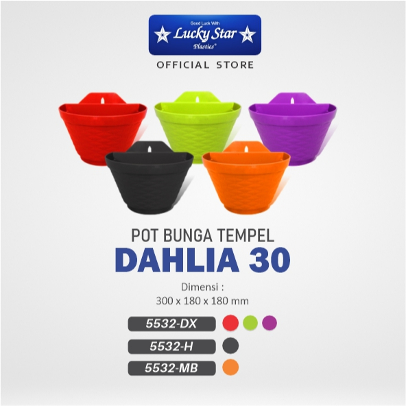 Louay_Idstore Lucky Star - Pot Bunga Tempel Dahlia 30 / Pot Bunga /Pot Tanaman Hias / Berkebun