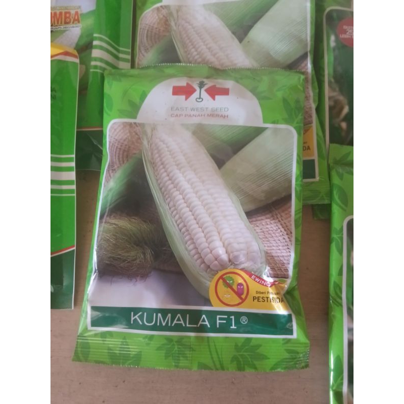 Bibit Jagung Pulut Kumala 250gr