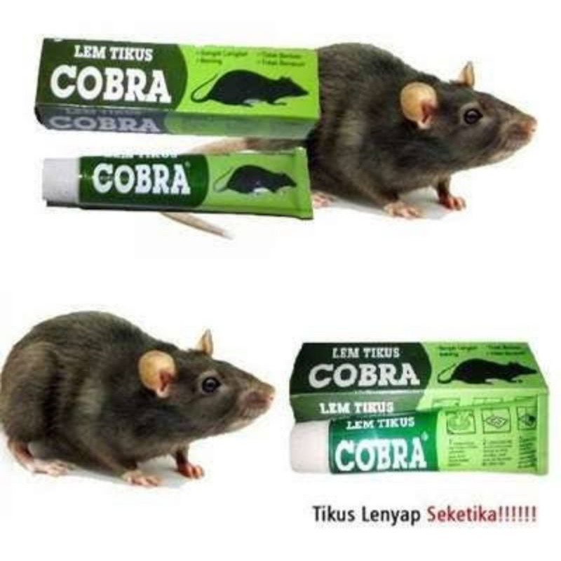 Lem Tikus Cap Cobra / Lem Tikus Box Cobra