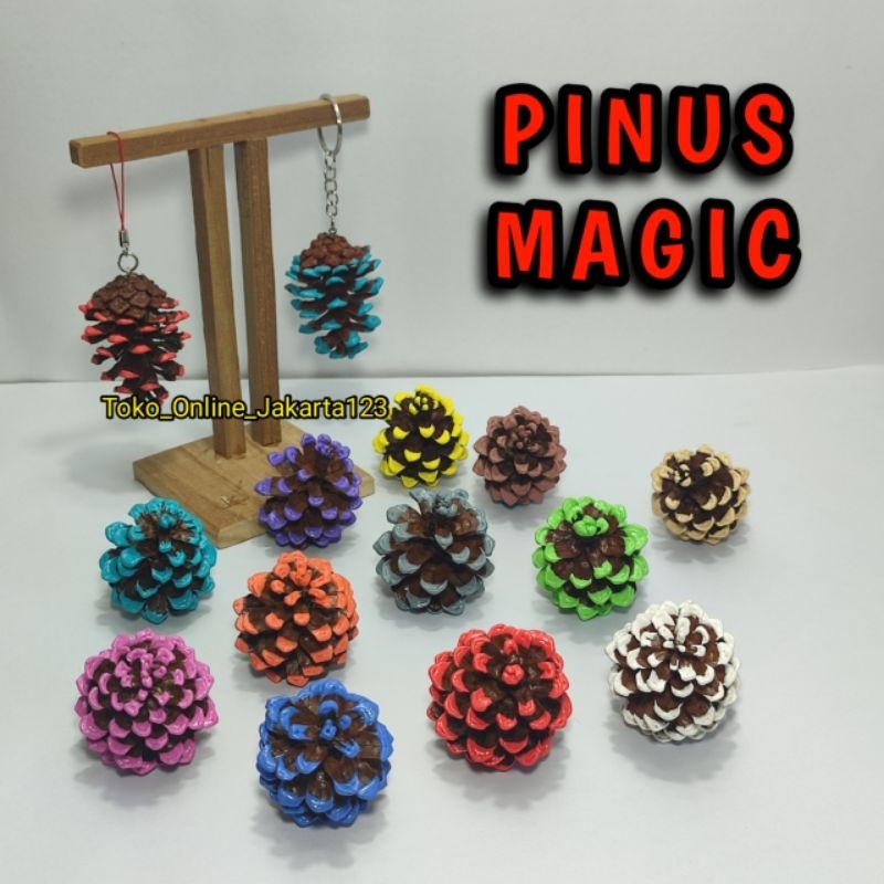 Bunga pinus kering warna warni buah pinus ASA Pine cone kembang pines