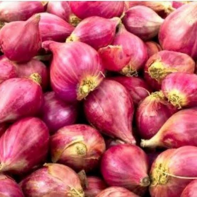 

bawang merah brebes asli super 500grm