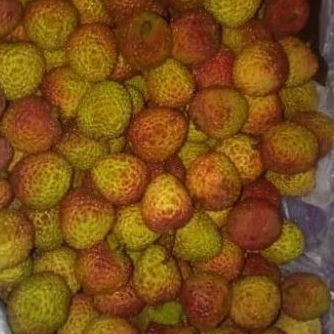 

buah leci / lychee