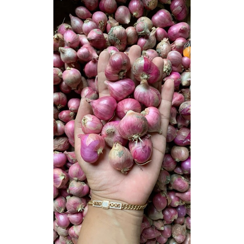 

Bawang Merah Berat 250 gram