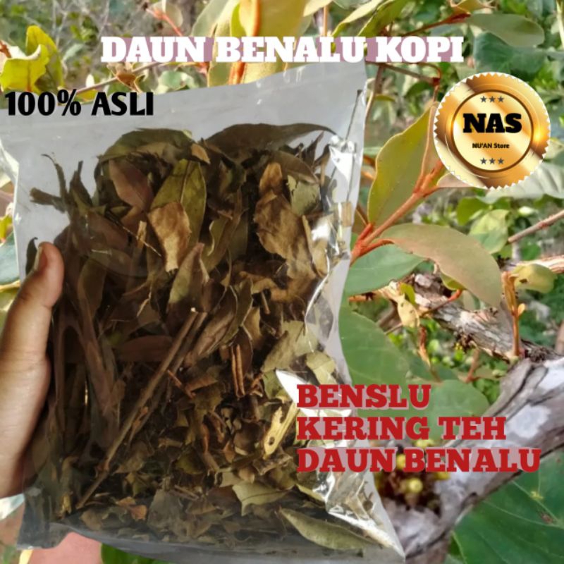 

Benalu kopi kering obat kangker asli benalu kopi per 50grm