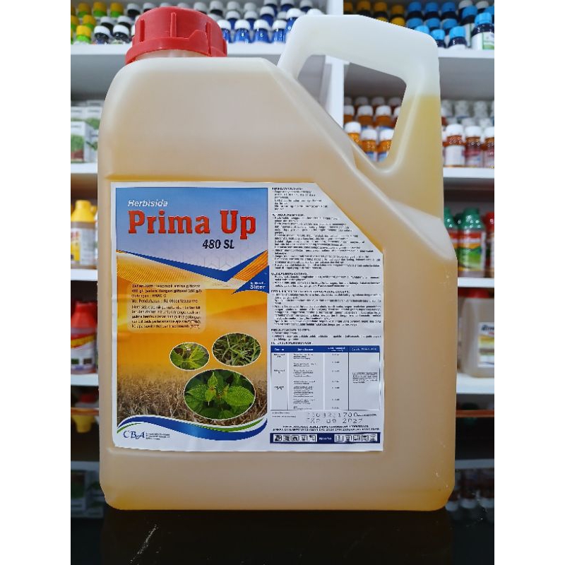 Prima Up 480SL 5 Liter- Herbisida Racun Rumput