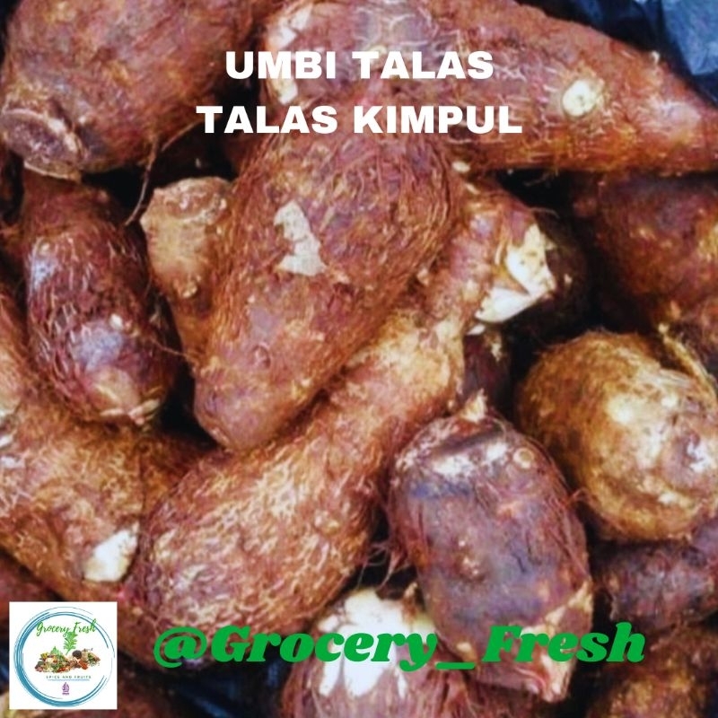 

Umbi Talas Segar Umbi Talas Kimpul Fresh Pulen