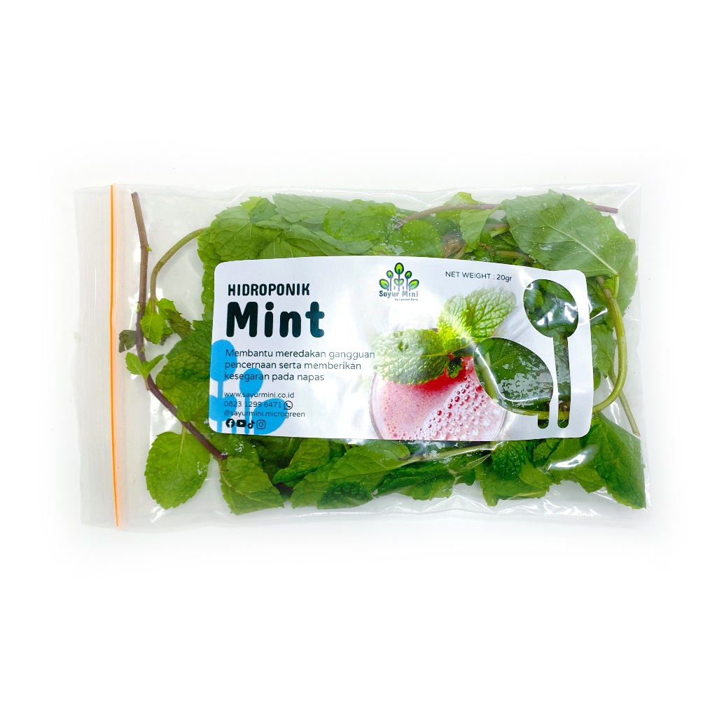 

SAYUR MINI Hidroponik Daun Mint 20gr - Fresh Cut - Hydroponics