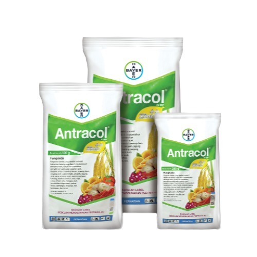 Fungisida Antracol 70 WP: Bahan aktif Propineb dan Zinc