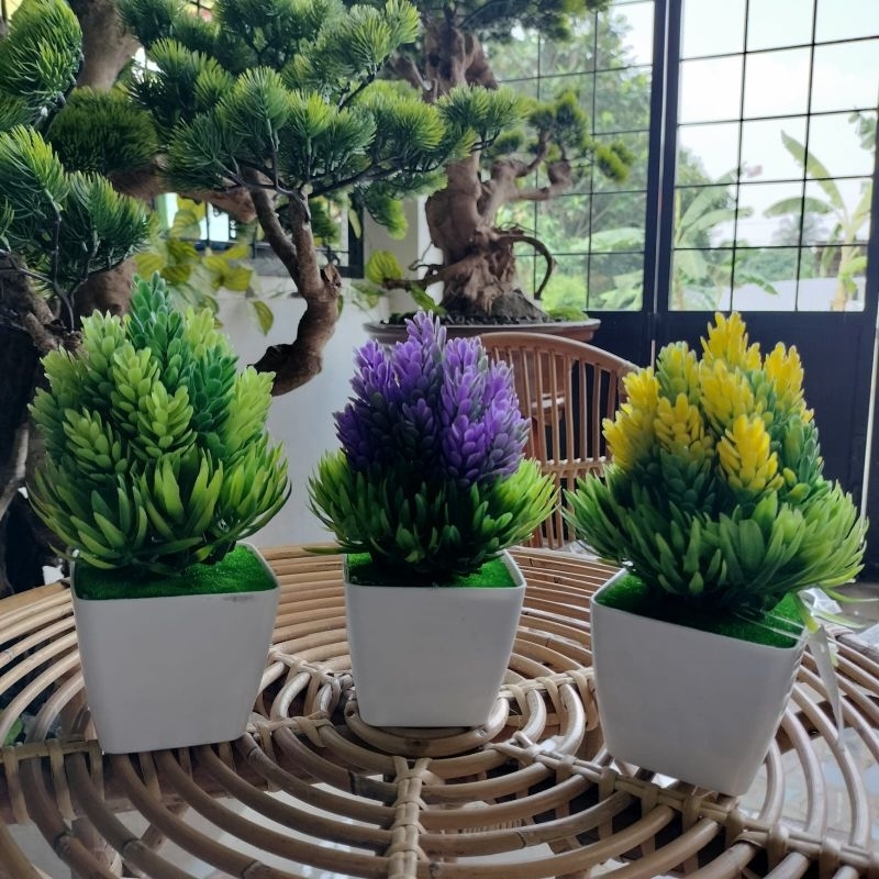 BungaTopiari kaktus/Bunga hias plastik/Bunga artificial