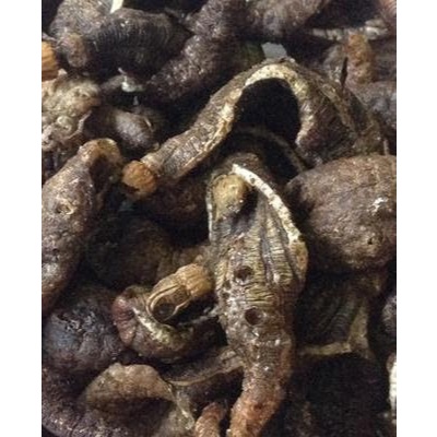 

1 KG KRUPUK TRIPANG GURIH RENYAH