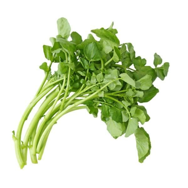 

Queen Market Official Selada air fresh perikat