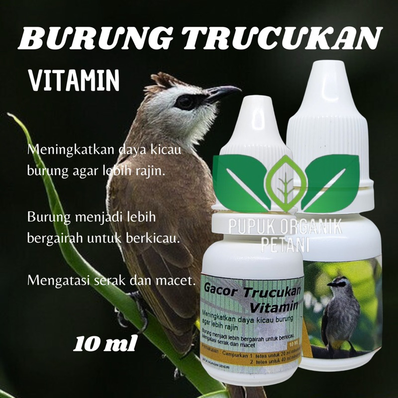 Vitamin sumplemen burung trucukan gacor rajin ngoceh 10 ml