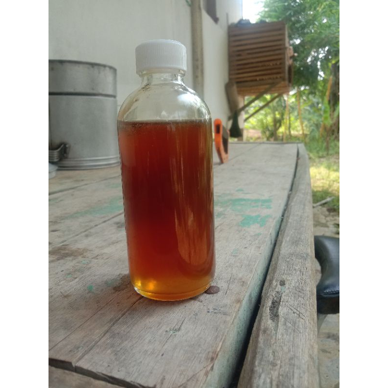 

Madu Tawon odeng asli mancak