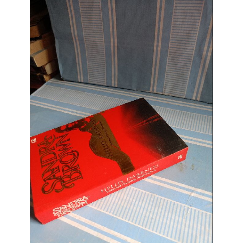 HELLO, DARKNESS by sandra brown