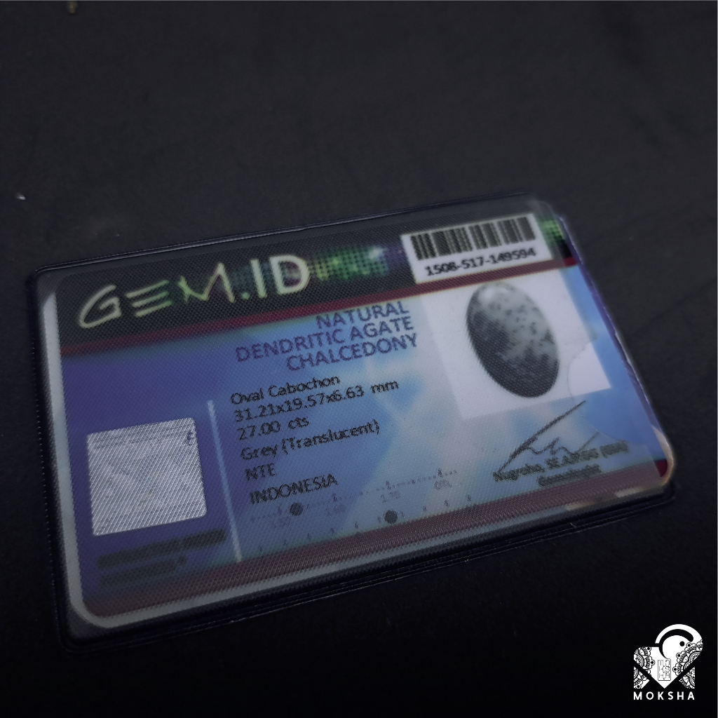 Natural Dendritic Agate Chalcedony Colector Item ( Rare Item )