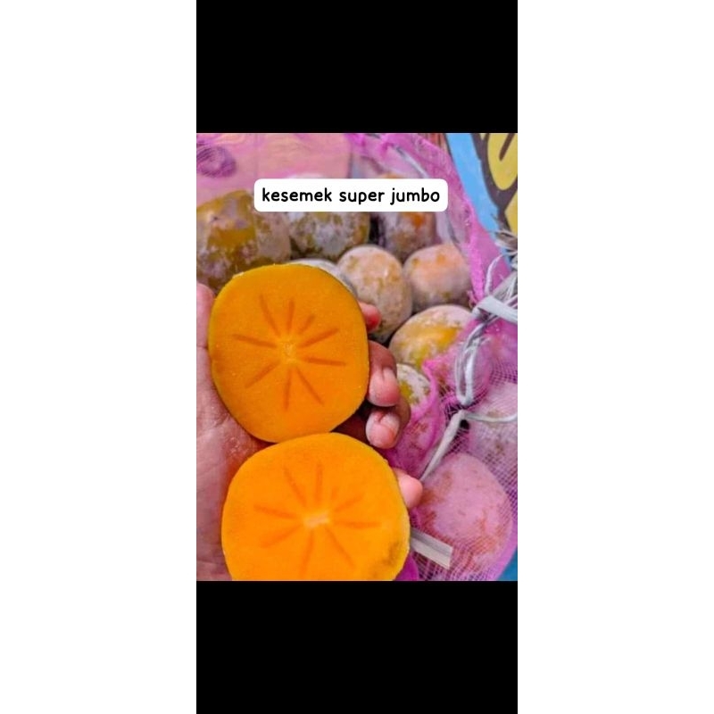 

kesemek buah 1kg