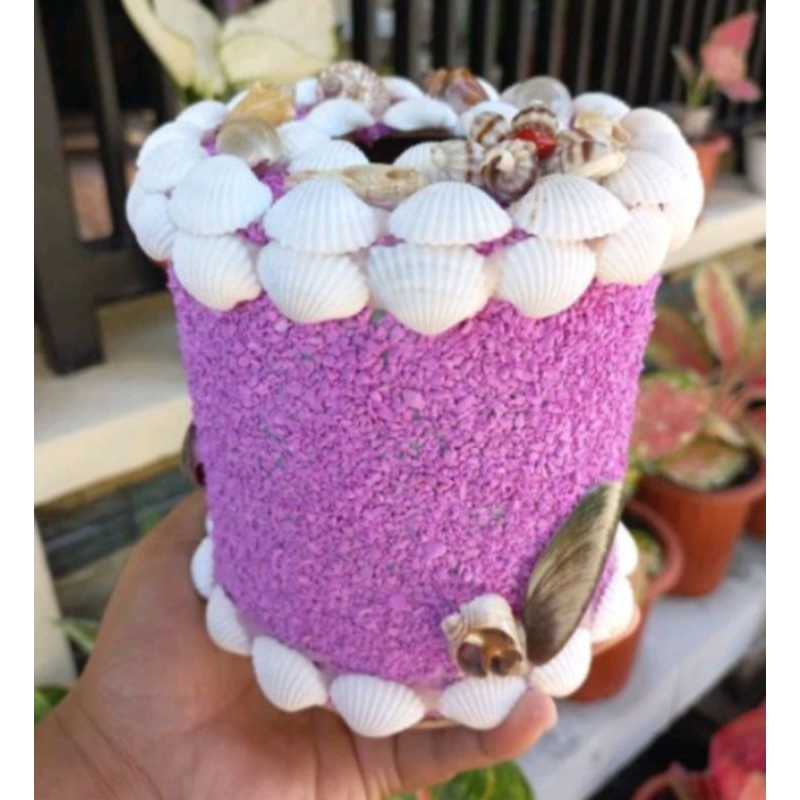tempat tisu bulat cangkang kerang kerajinan/prakarya
