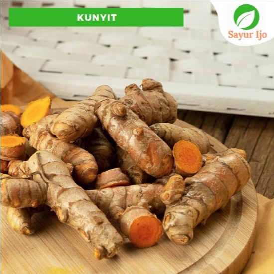 

Kunyit Kuning -/+ 480 - 500 Gram Fresh Turmeric Sayur Hijau Segar