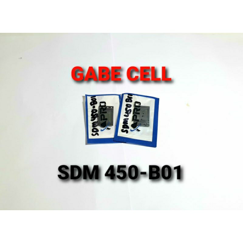 IC CPU SDM 450-B01