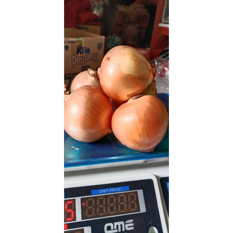 

Bawang Bombay Rp. 25.000 / 500grm