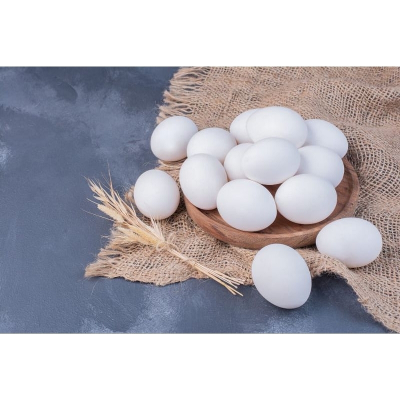 

TELUR AYAM KAMPUNG PERBUTIR