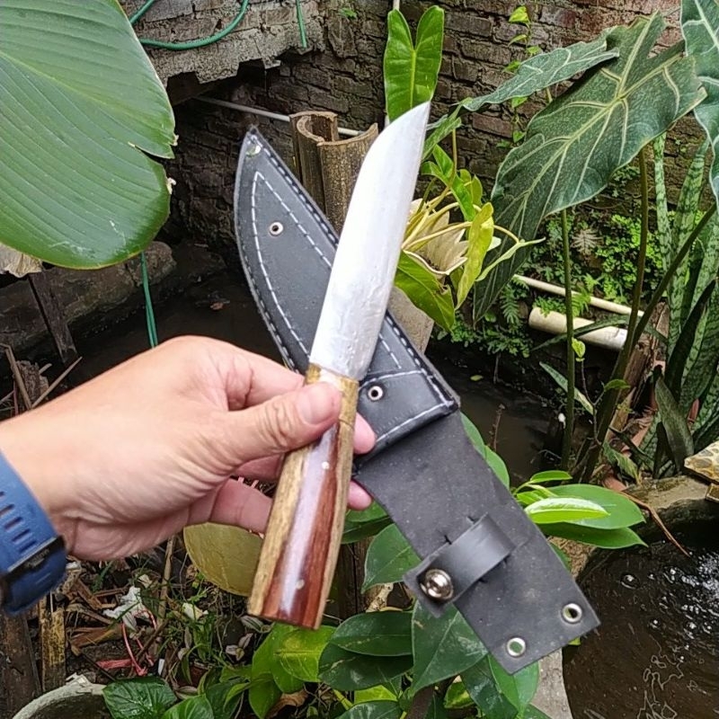 Pisau Dapur Baja Gergaji Kayu Super