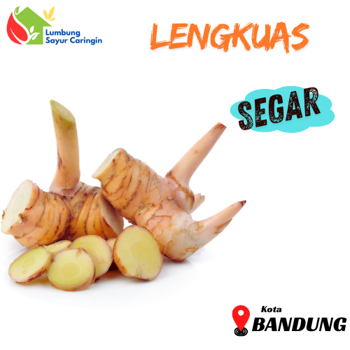 

Lengkuas / Laja Segar Bandung